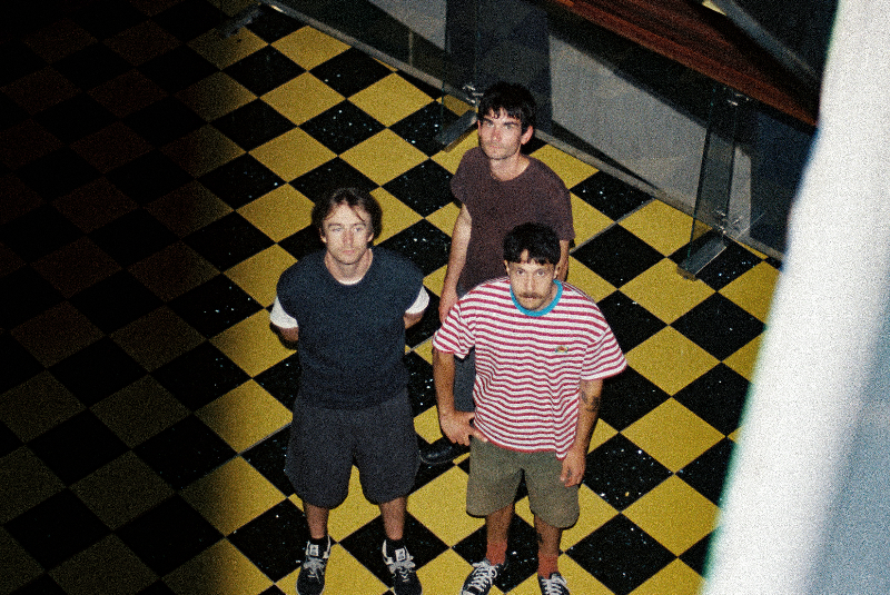 Beehive Candy tweet media