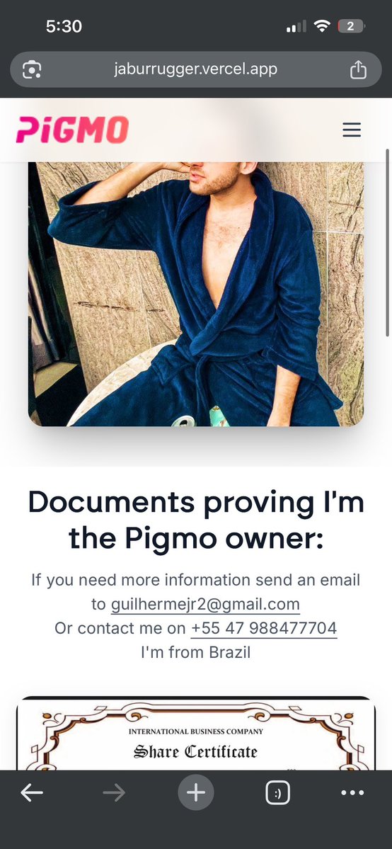 Kevin Pigmo 💎 tweet media