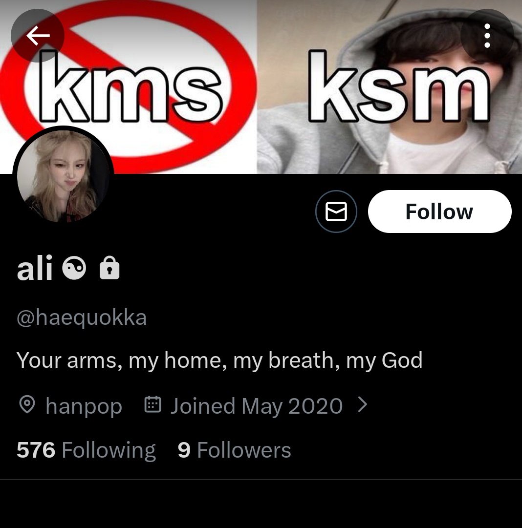 ❅ hae quokka VIO A SKZ tweet media