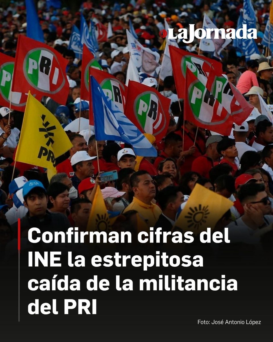 Freddy Oliviery tweet media