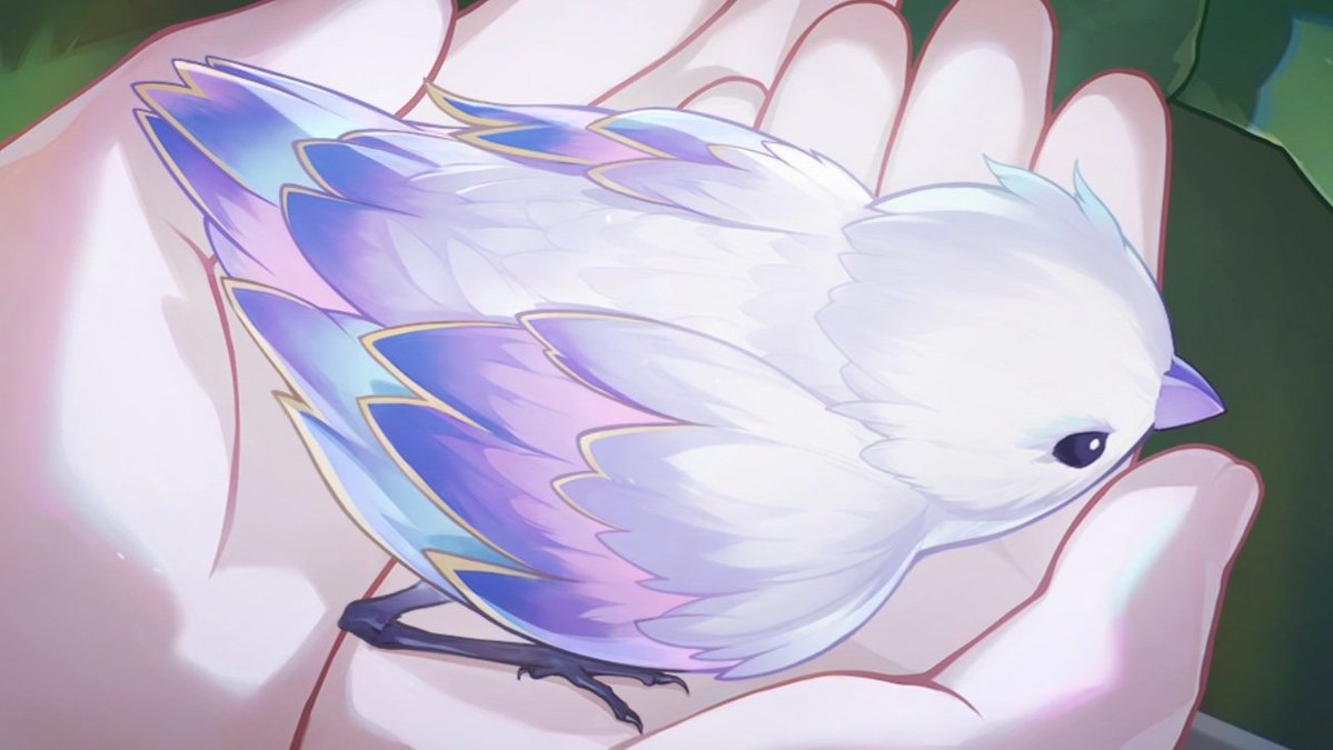 .𖥔 ݁ ˖ || Kim ! tweet media