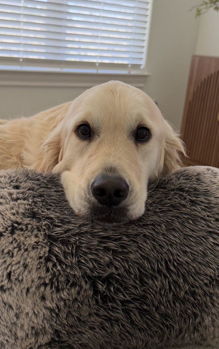 Gunther Eagleman™ tweet media