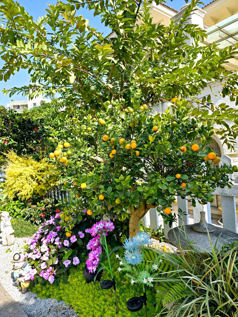 sean  boyle tweet media