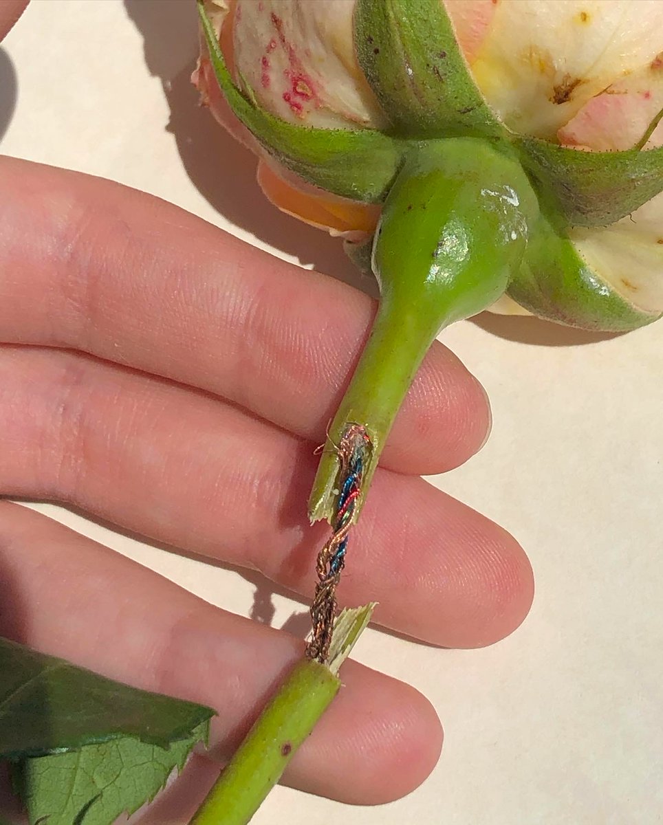 الأمير بيلي دين tweet media