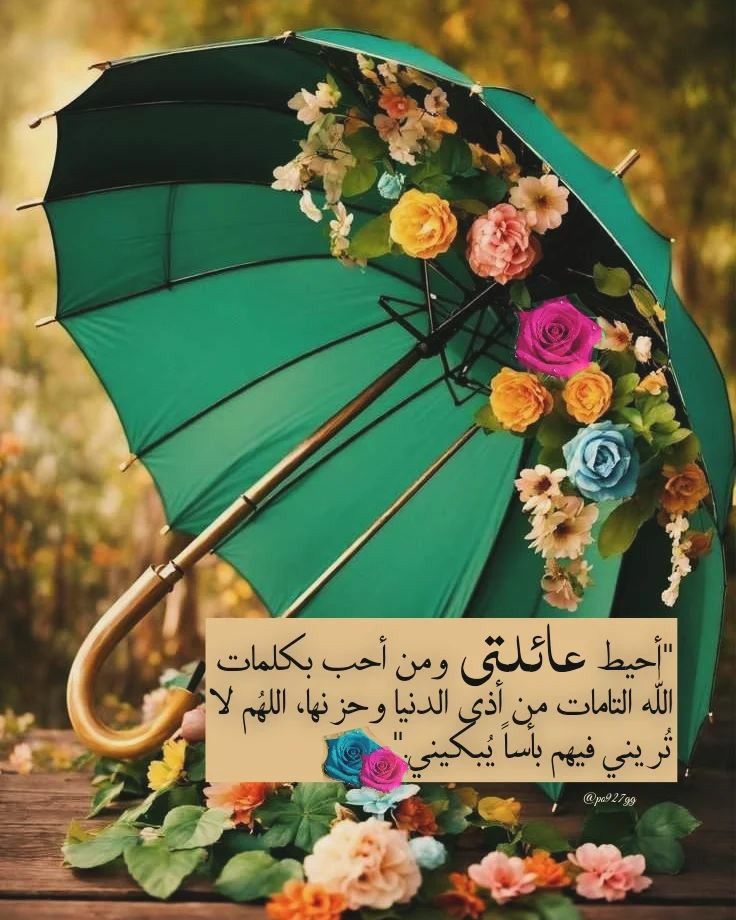 𝑀𝑜𝑜ñ✨ tweet media