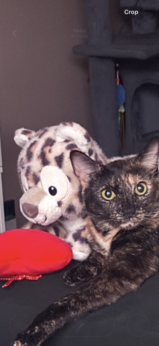 lys ❤️‍🔥 tweet media