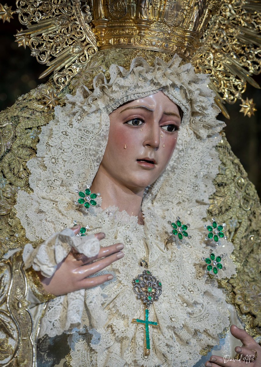 David Arias tweet media