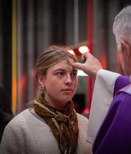 Sachin Jose tweet media