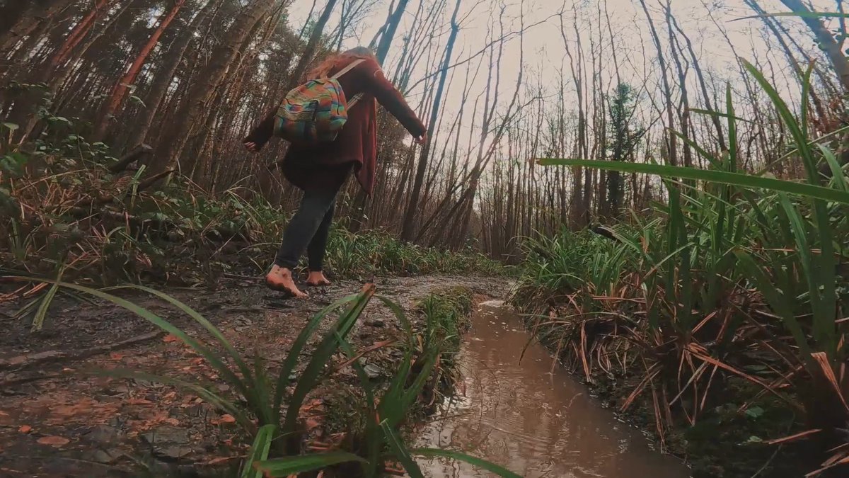 Leafy's Feet tweet media