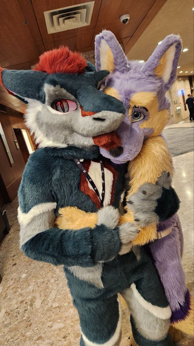 KingerTheSergal's tweet photo. Found a lost pup today. Think I will take him home 🥴 https://t.co/s61Sz4LhBY