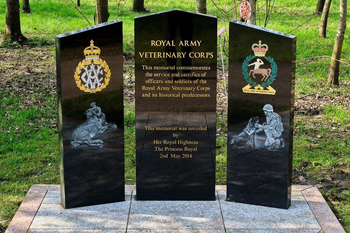 Simon Whaley: Author | Writer | Photographer tweet media