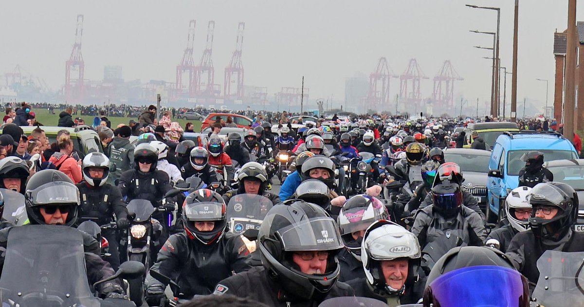 Colin Lane tweet media