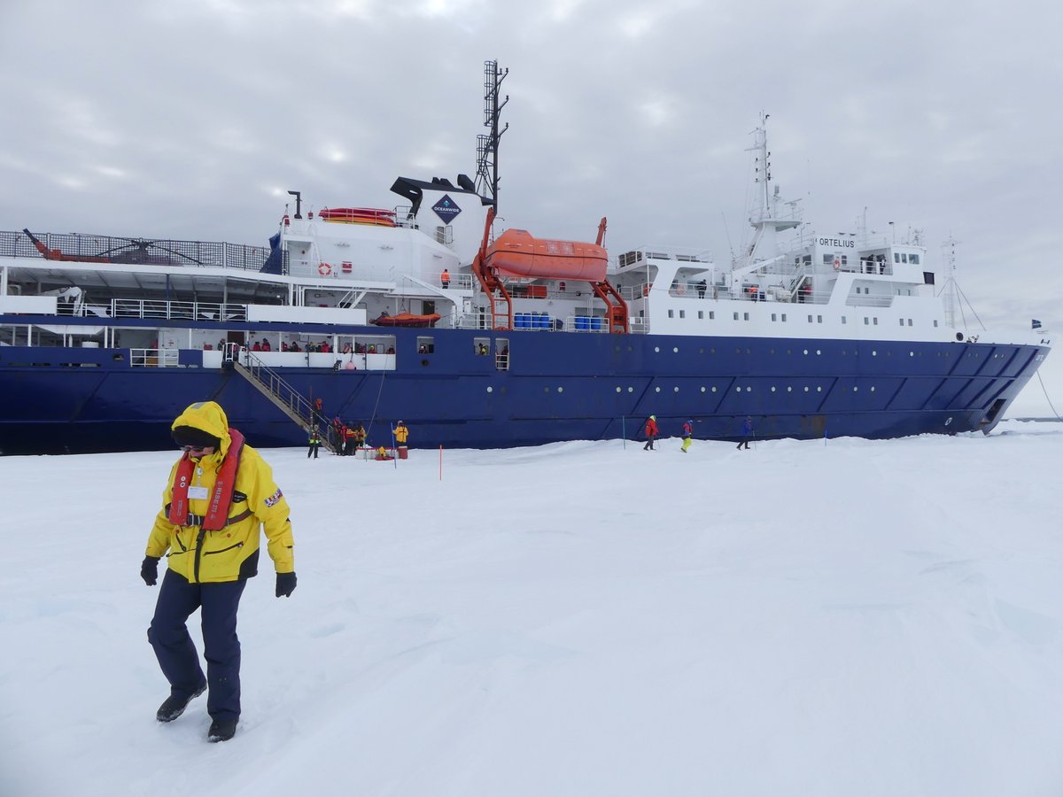 Nicholas Coghlan tweet media