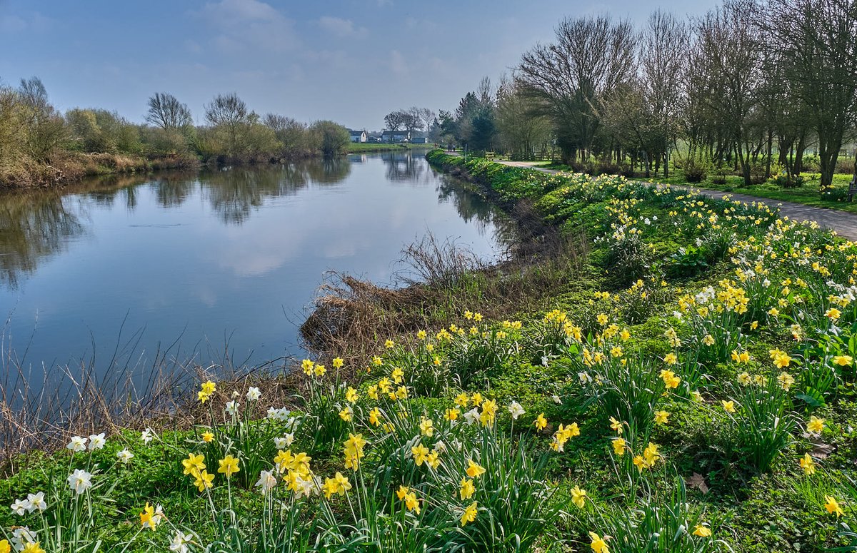 Simon Whaley: Author | Writer | Photographer tweet media