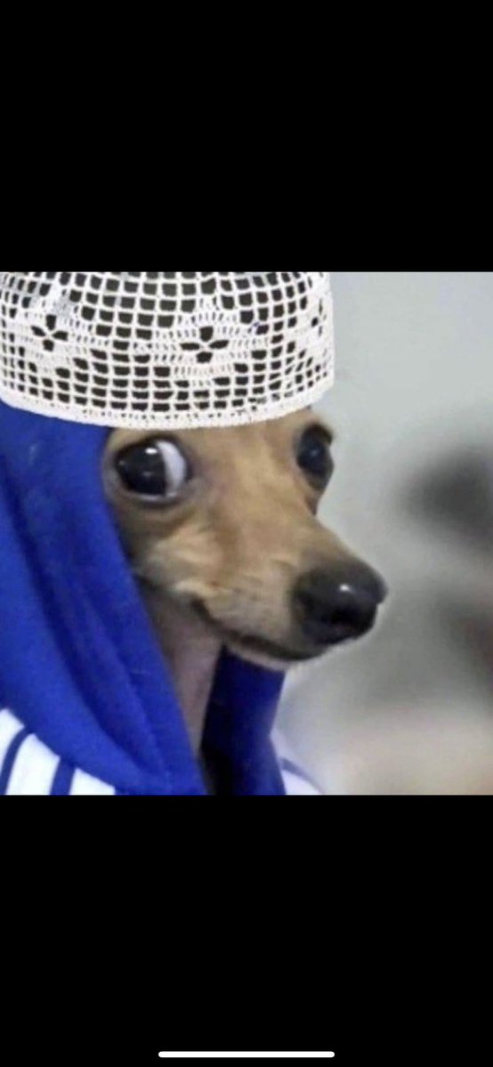 الحربي tweet media