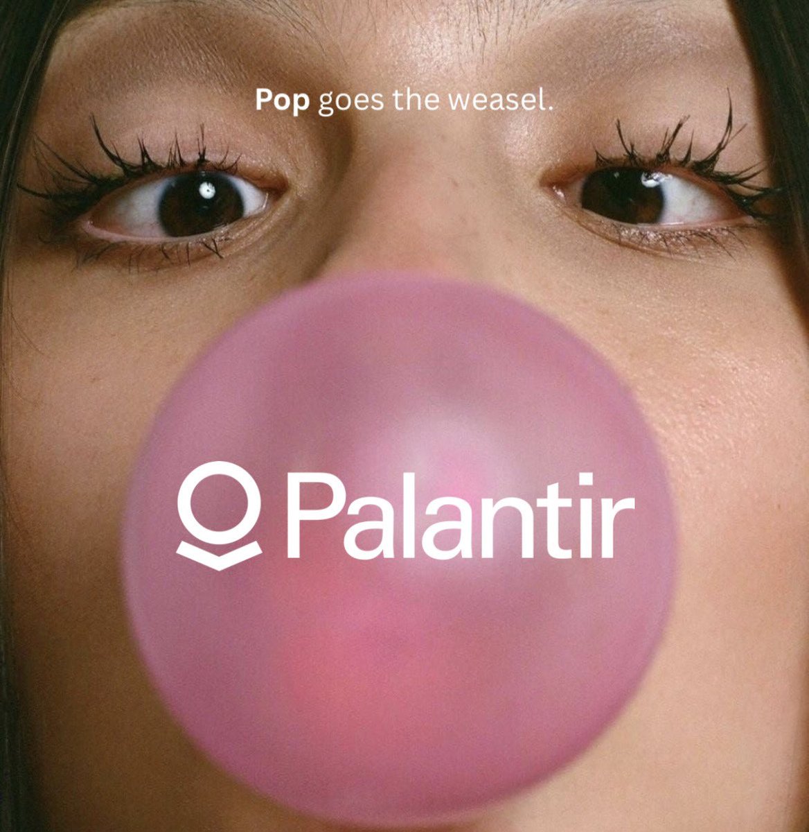 Palantir tweet media