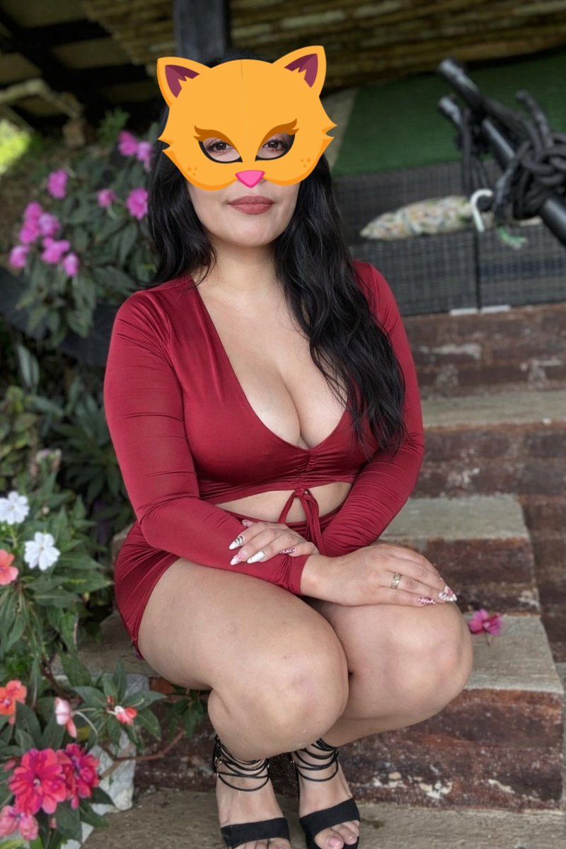 LILO Y STICHS tweet media