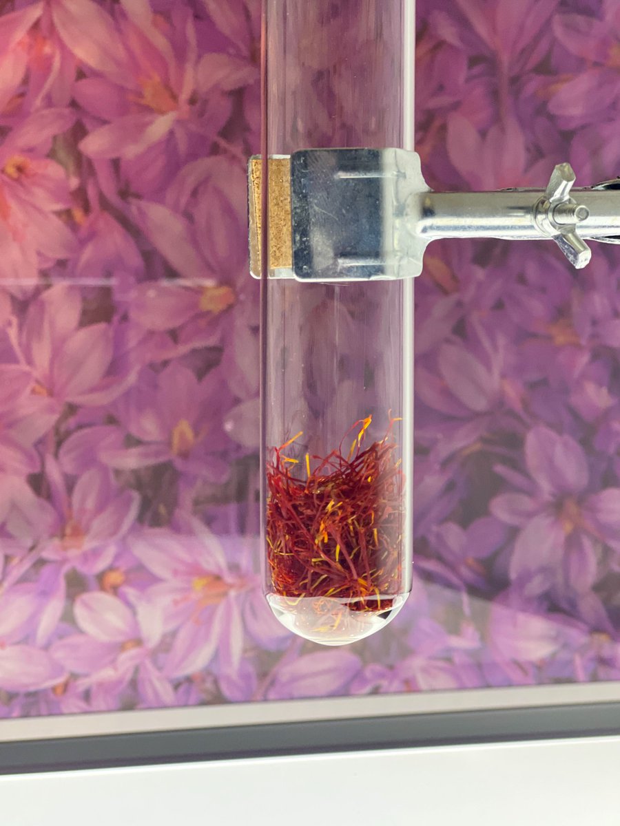 L'ETNO. Museu Valencià d'Etnologia tweet media