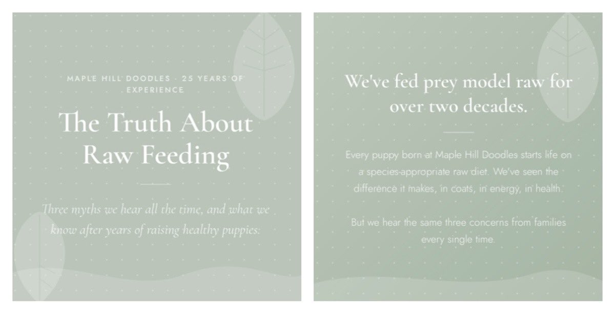 MapleDoodles's tweet photo. Raw feeding myths, busted by a breeder with 25 years of experience.

❌ It’s dangerous
❌ Too complicated❌ Too expensive

None of these are true. Full guide👇

https://t.co/K01gF09XB3 https://t.co/LQmqp5rvbw