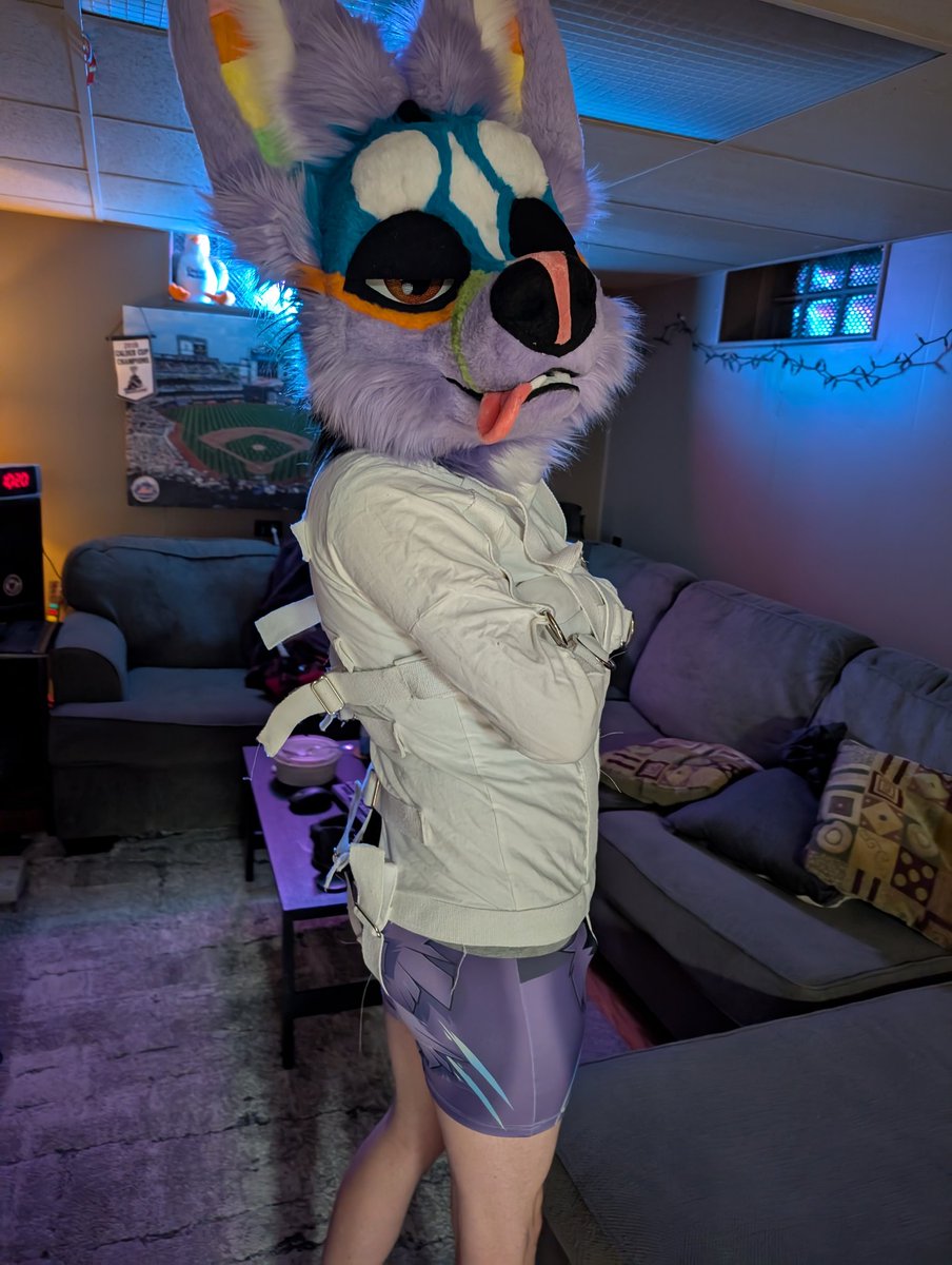 SherbertTheFox's tweet photo. Come help me out plz, my nose is so itchy...#straitjacketsunday https://t.co/fLunTei64T