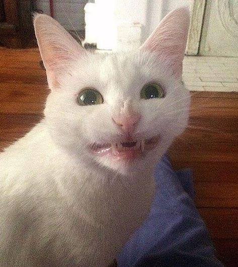 Jan Sudoł tweet media