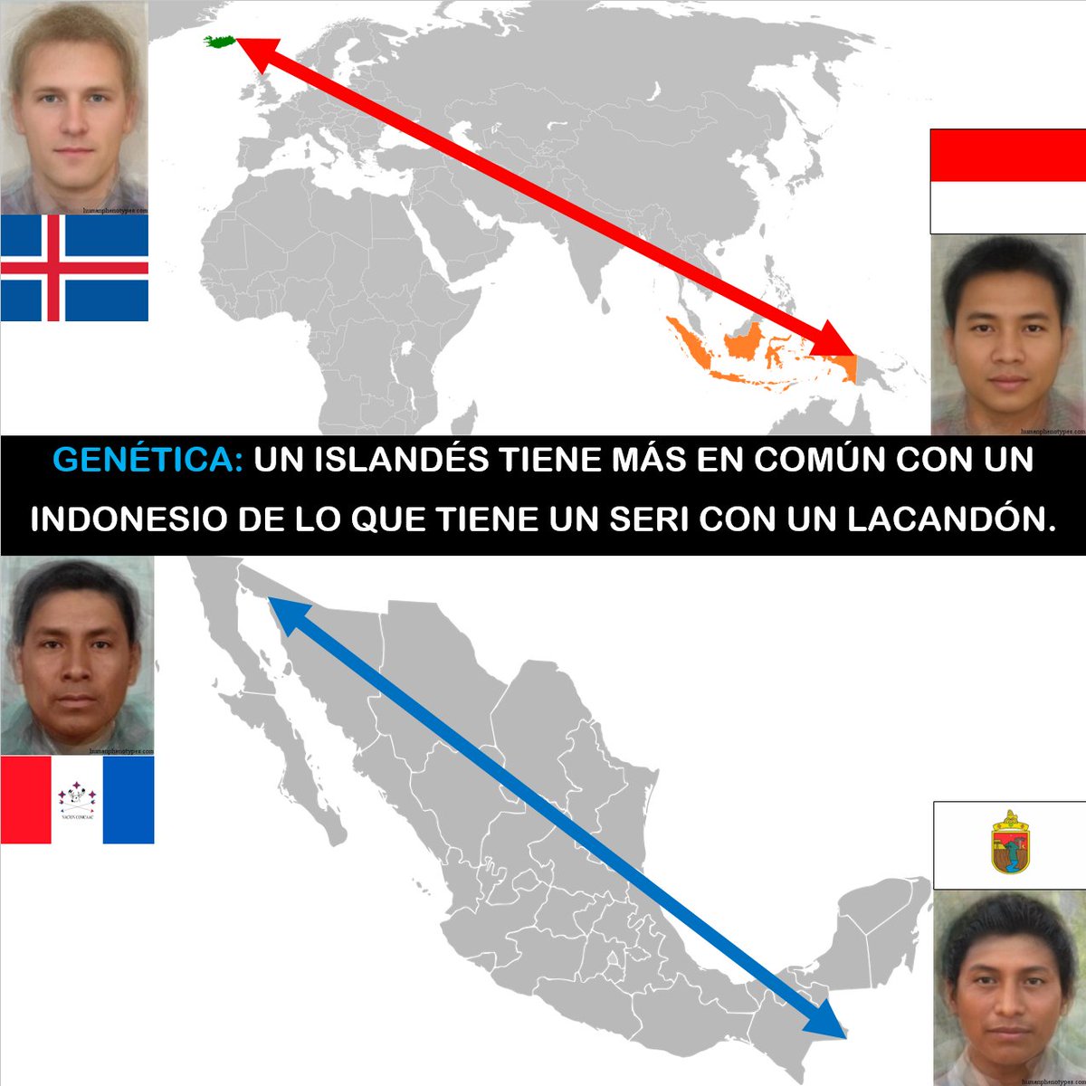 Revolucion Nacional Anahuaquista (RNA) ᛝ tweet media