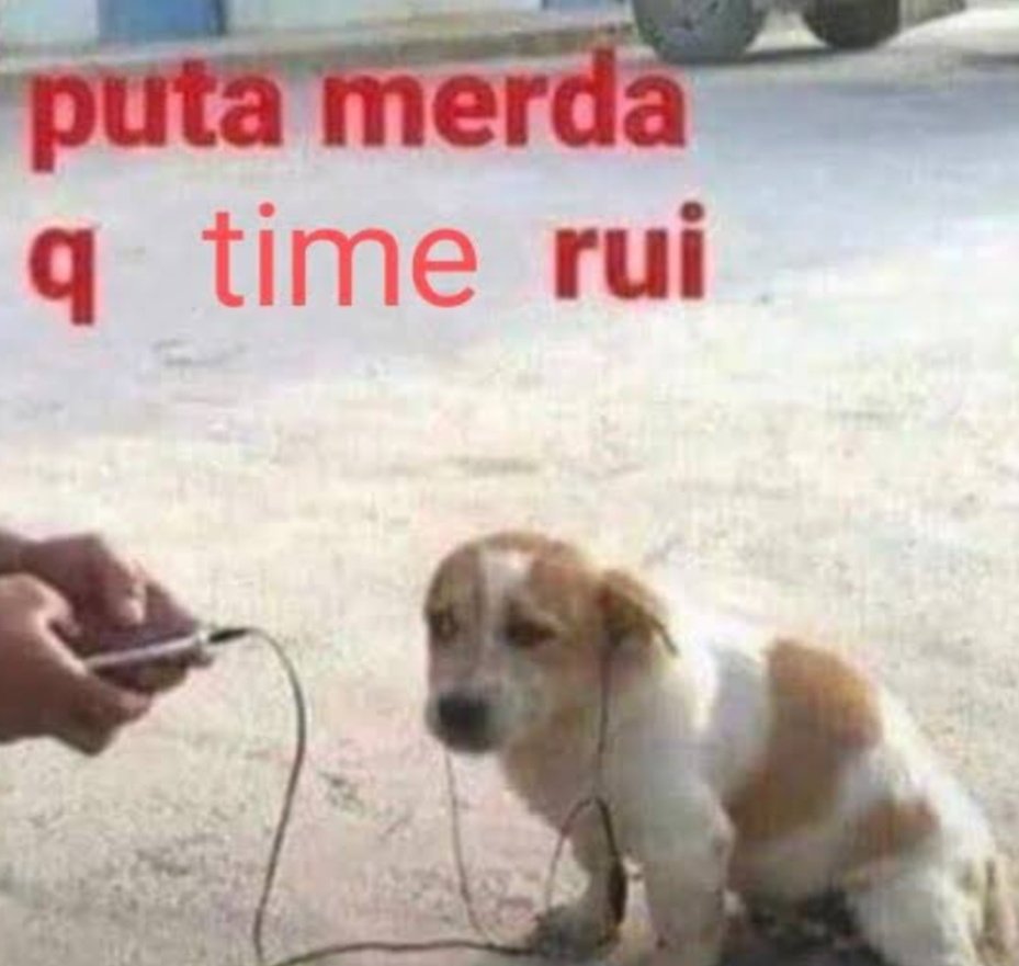 gato santista tweet media