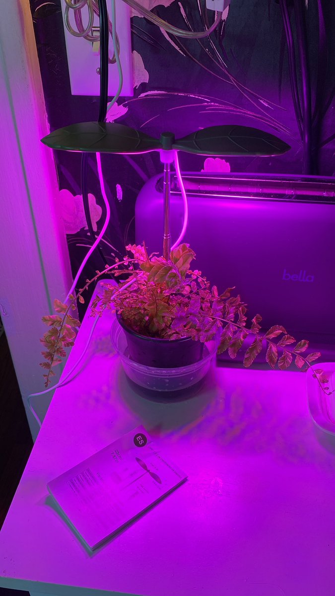 Weird Barbie 🌱🐻🍩 tweet media