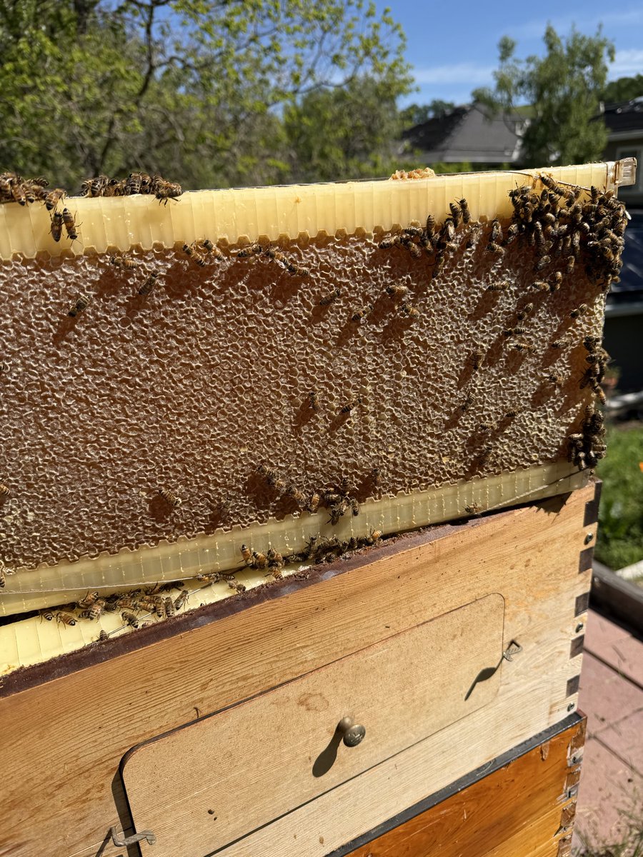 SpotLight tweet media