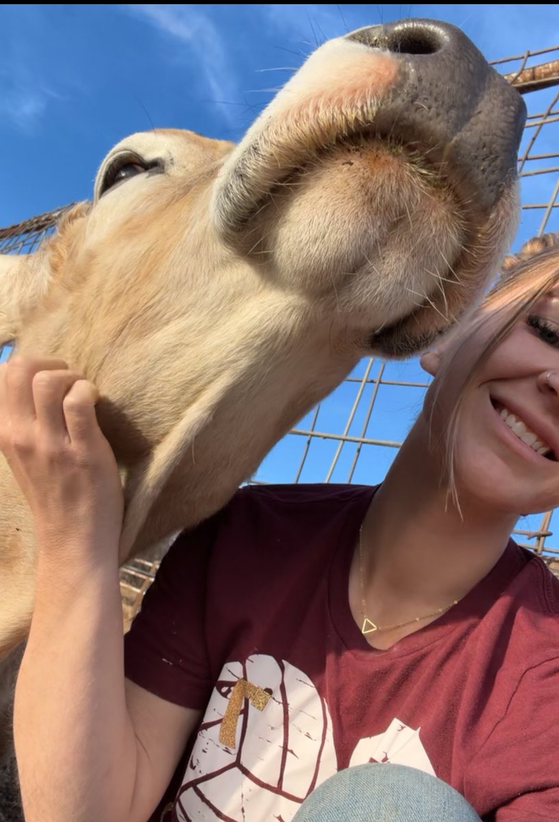 I’m exhausted.
Body and soul.

I don’t think people always remember that part. The late nights, the stress, the constant weight of uncertainty. Living in a state of survival mode day after day...

I just want a simple life.
I want to milk my cows, feed my people, and spend the