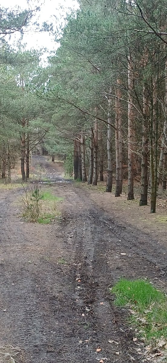 Paul Mollon tweet media