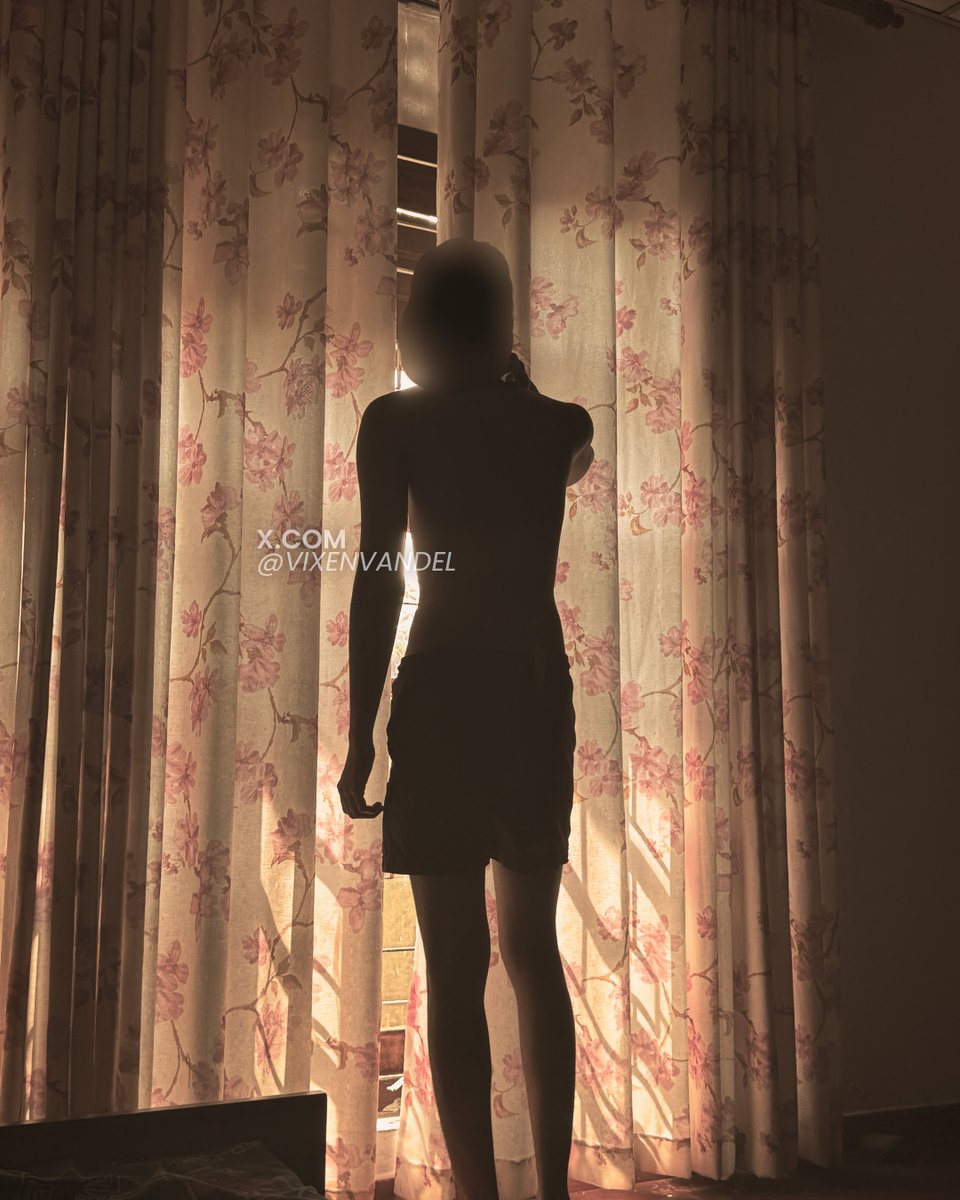 Vixen Vandal tweet media