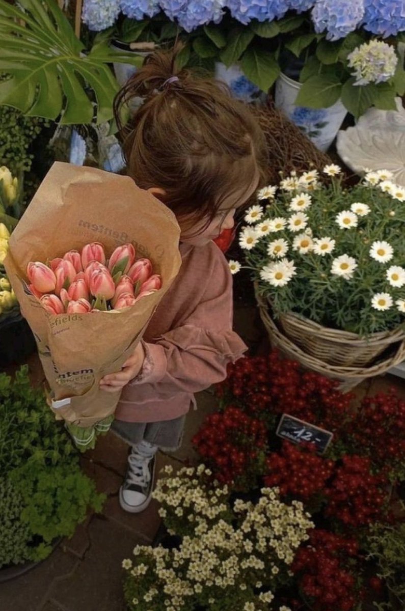 G r e e n 🌱 tweet media