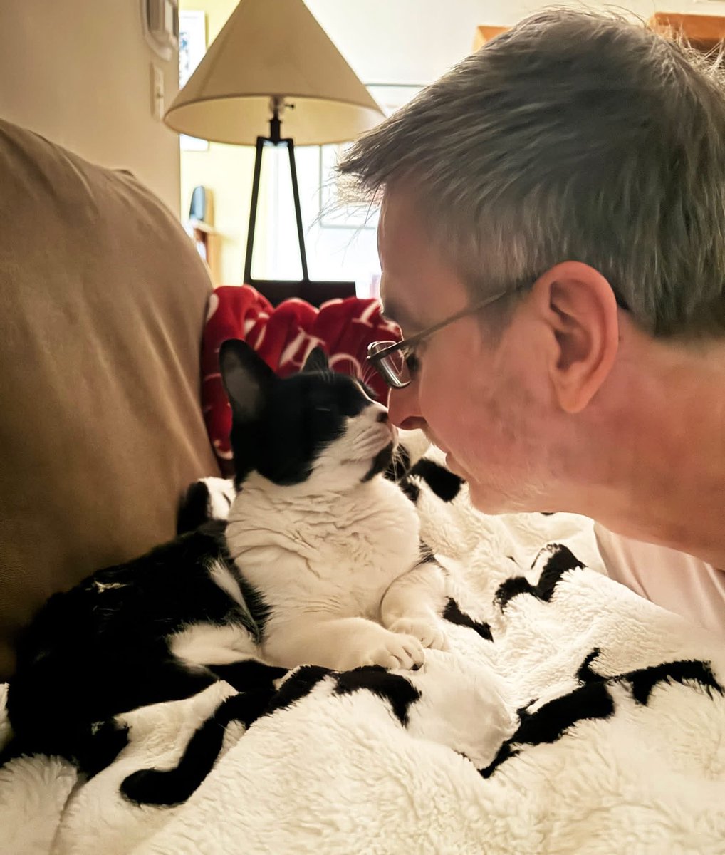 tommclaren1's tweet photo. They say the ultimate trust &amp; love from a cat is the nose-to-nose test. Cleo &amp; I have been bonding like this for over 12 yrs now :) #cat #catlover #catslover #catlovers #catslovers #bonding #tommclaren #nextchapterentertainment #ralphsperfektchristmas https://t.co/QTipSHfNu7