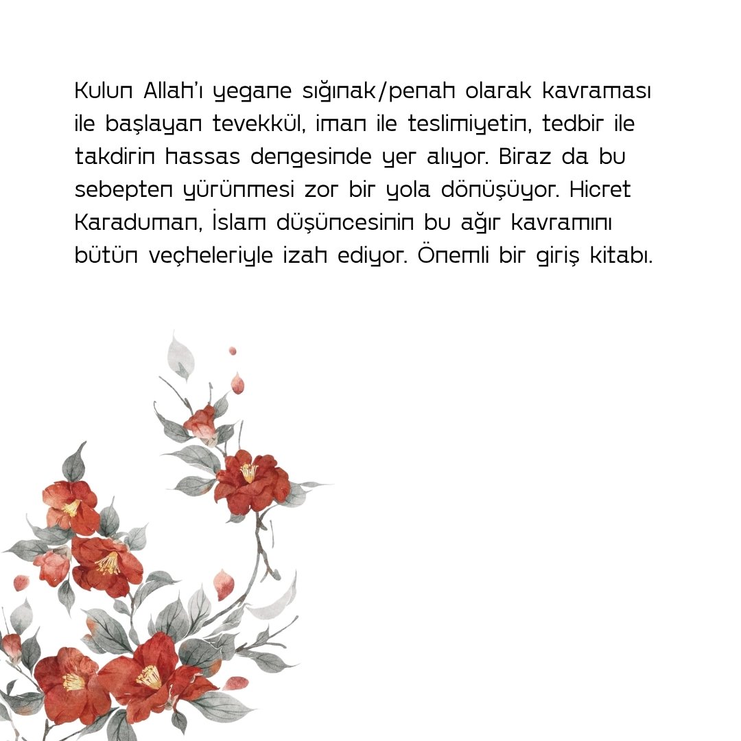 fatih kutan tweet media