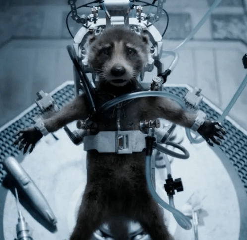 BigGlargle tweet media