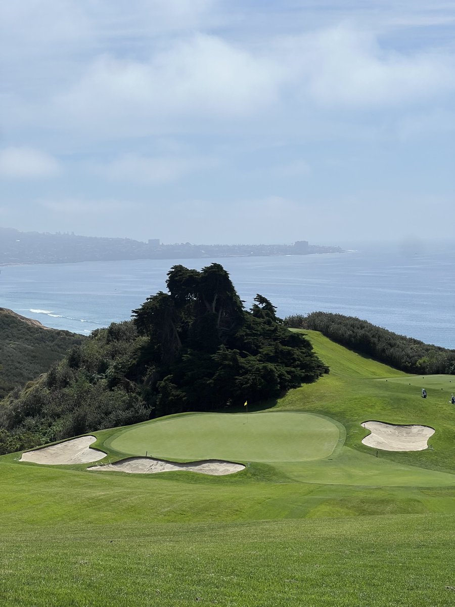 Scott Erling tweet media