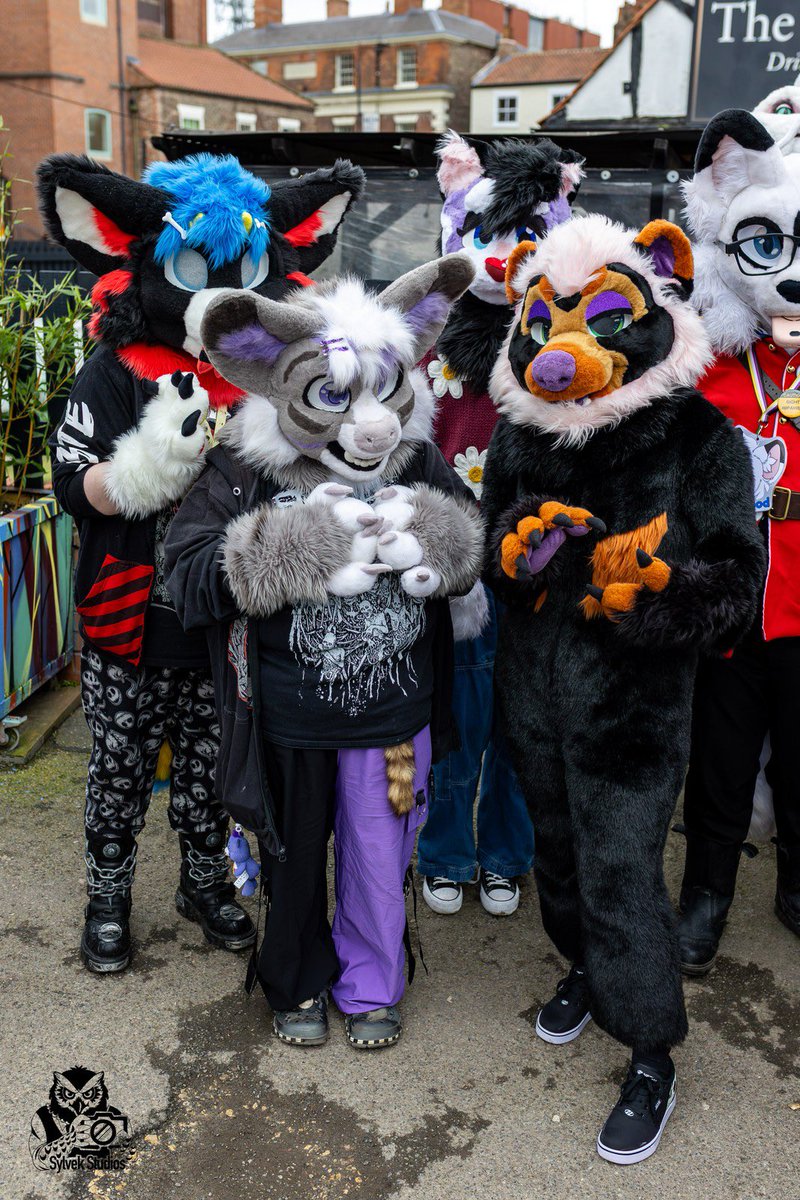 🦀 Krabsy 🦀 tweet media