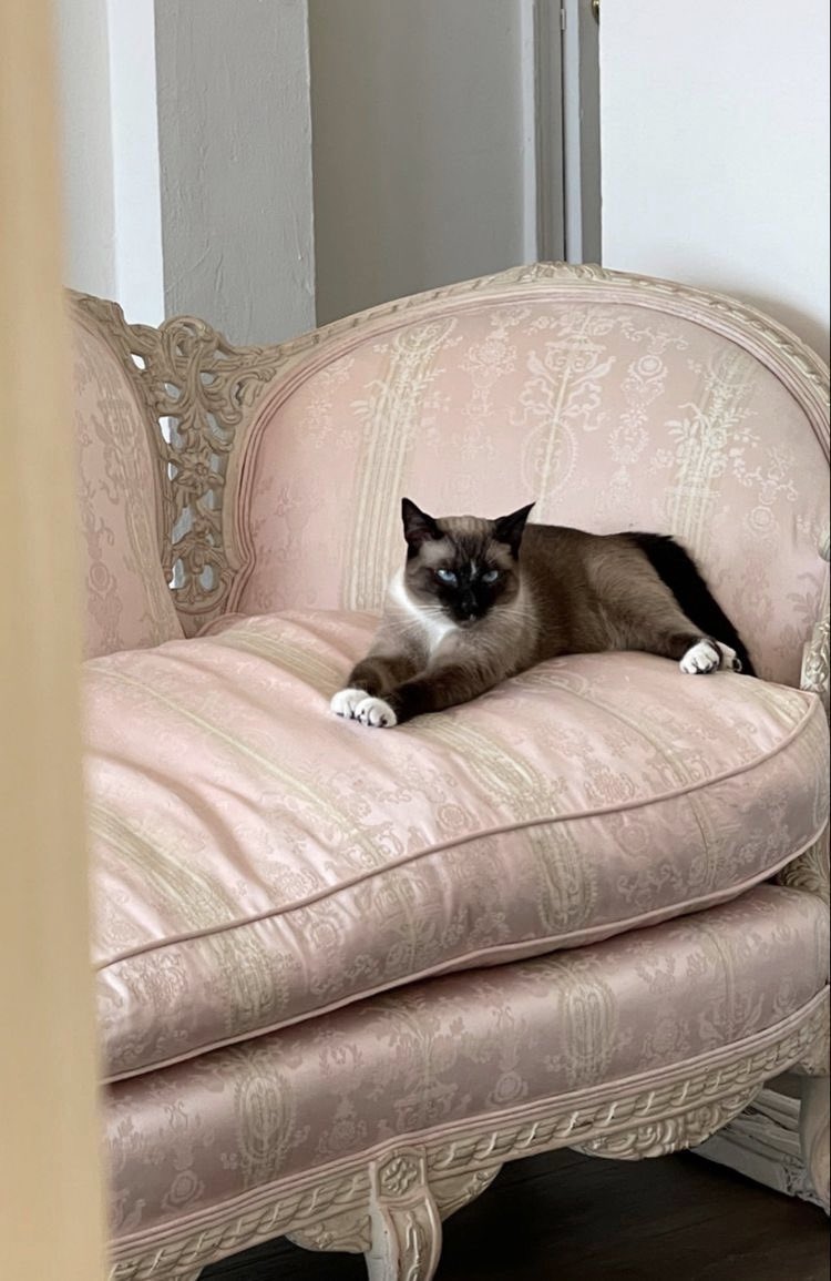 𝓇𝑜𝓈𝒾𝑒 tweet media