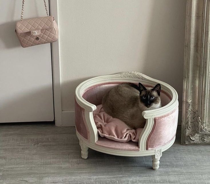 𝓇𝑜𝓈𝒾𝑒 tweet media