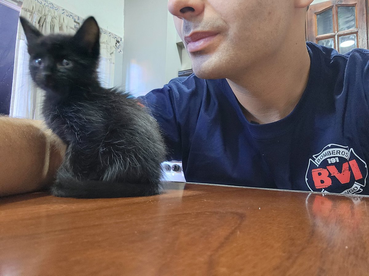 Bomberobord tweet media