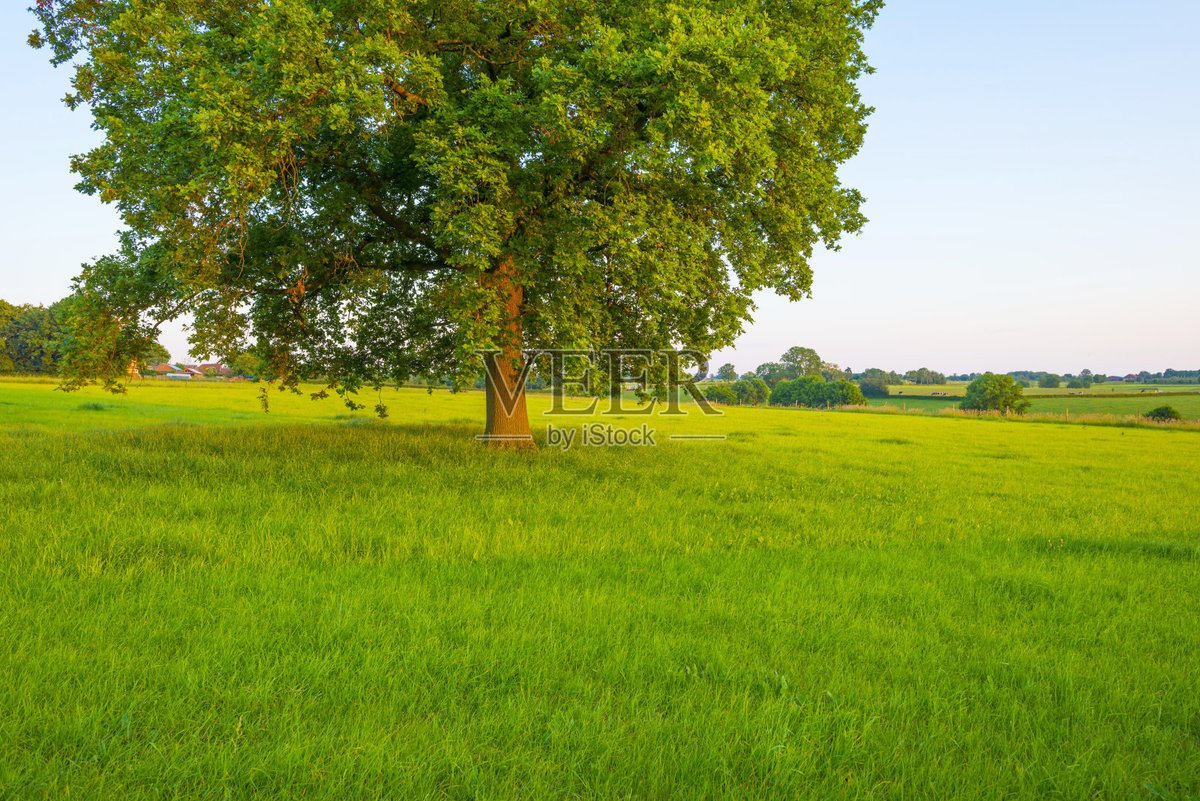 andrew holt tweet media