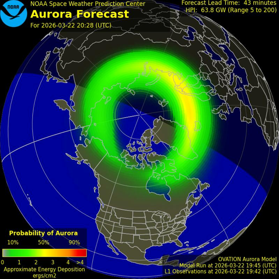 🇺🇦 сloned tweet media