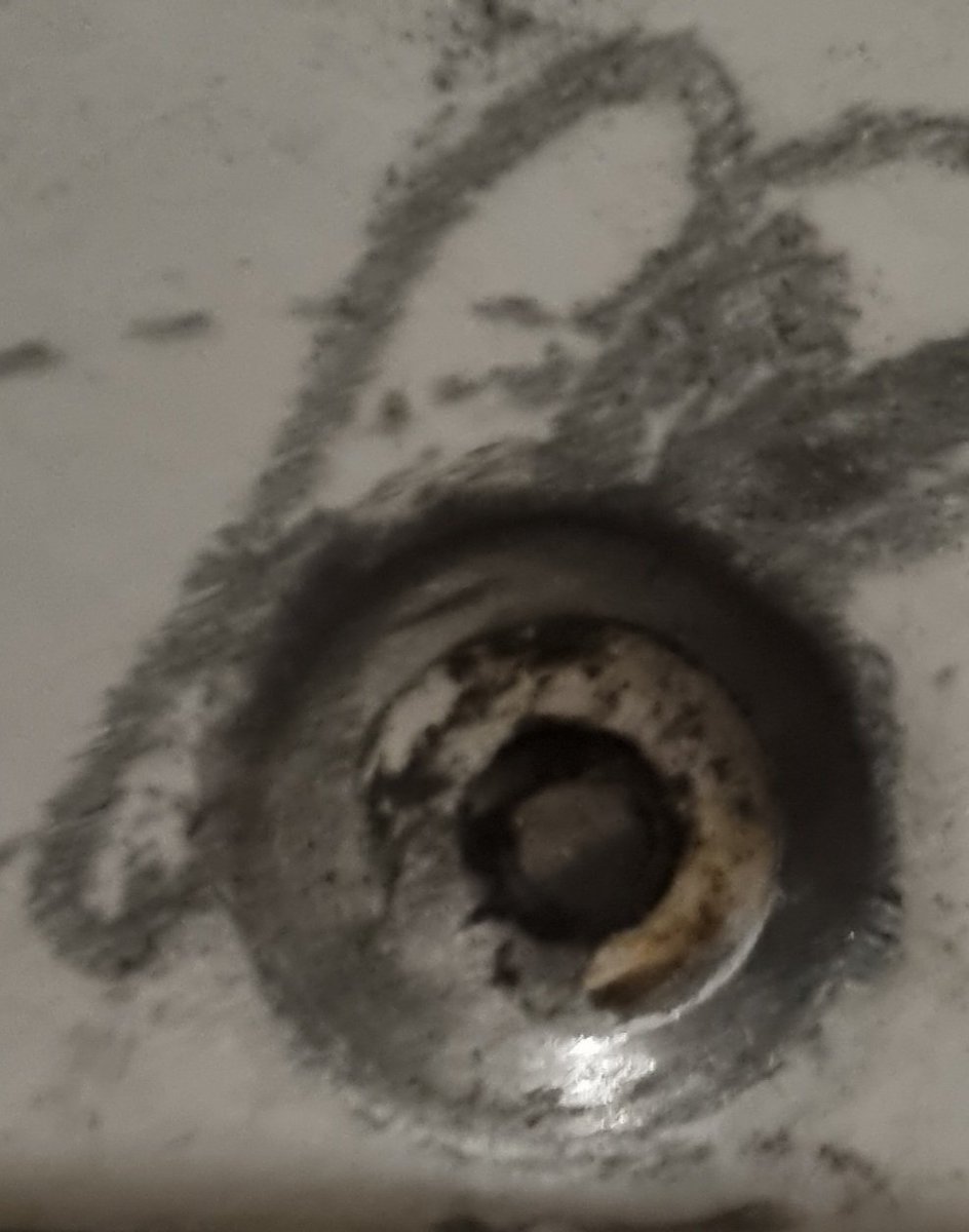 Felix Pfefferkorn tweet media