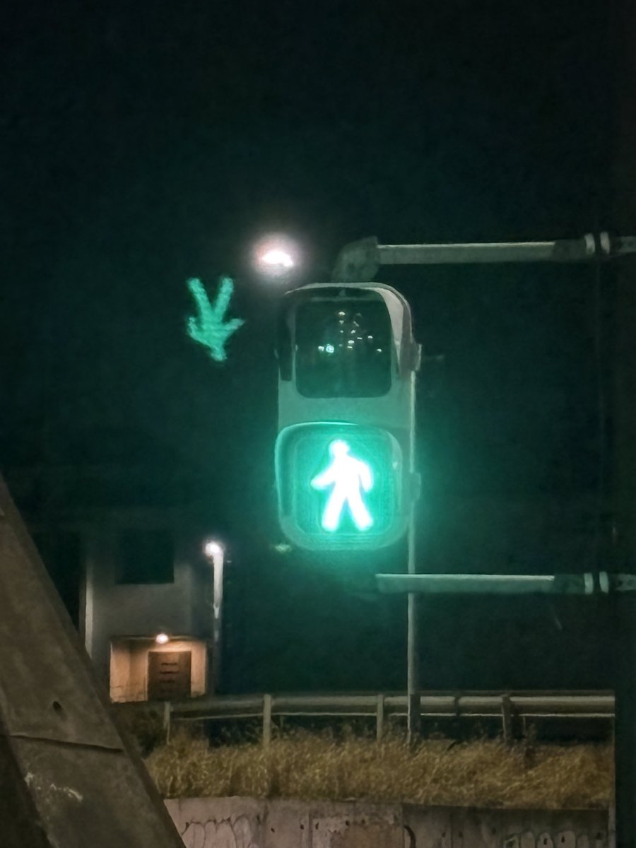 パチュリーけんいち🚦 tweet media