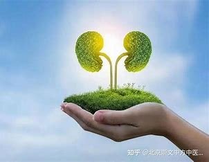 nico teki tweet media