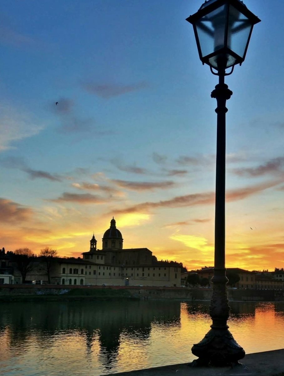 Meri☀️🐣🌸🥀🪺🐣🐾 tweet media