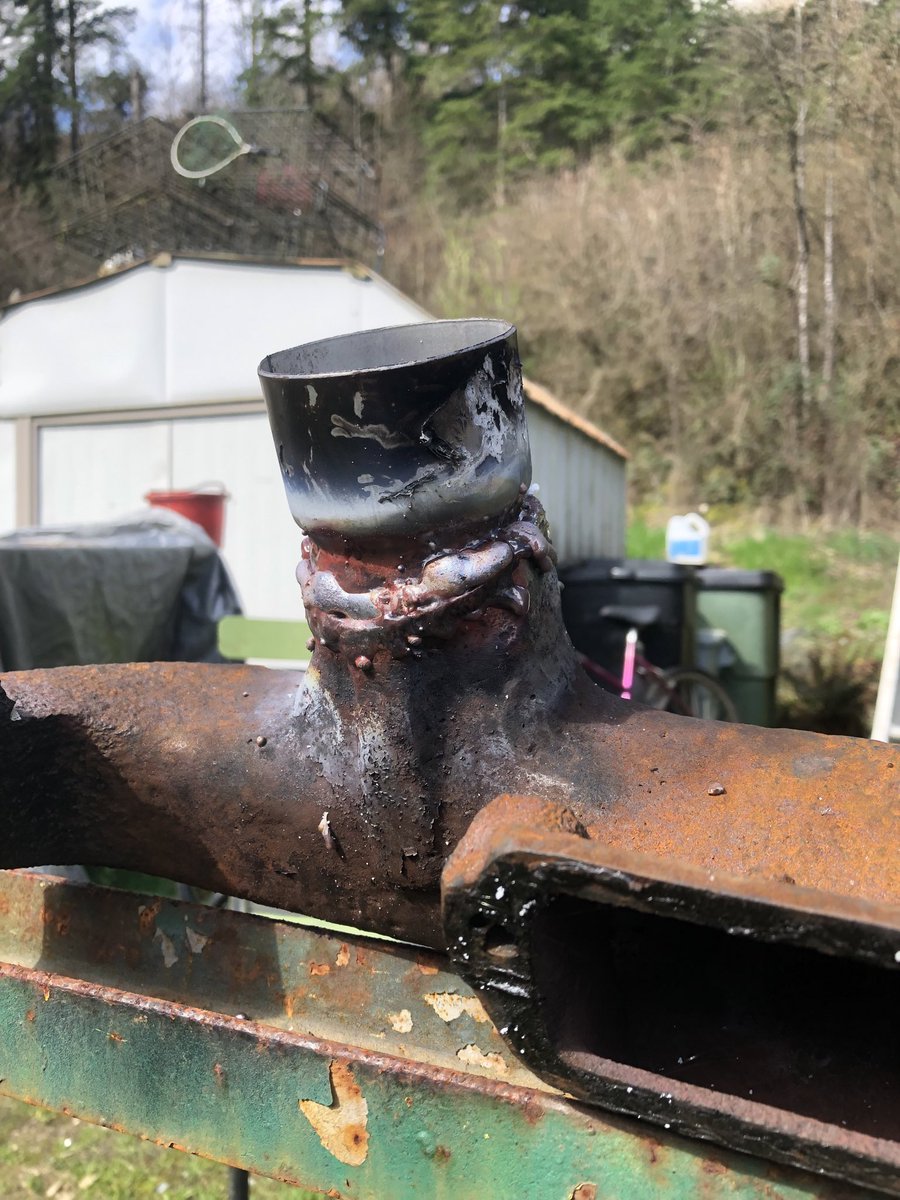 Beaver slayer tweet media