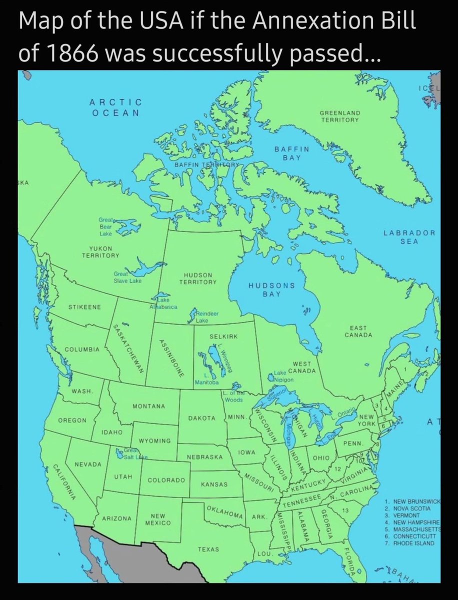 Declaration of Memes tweet media