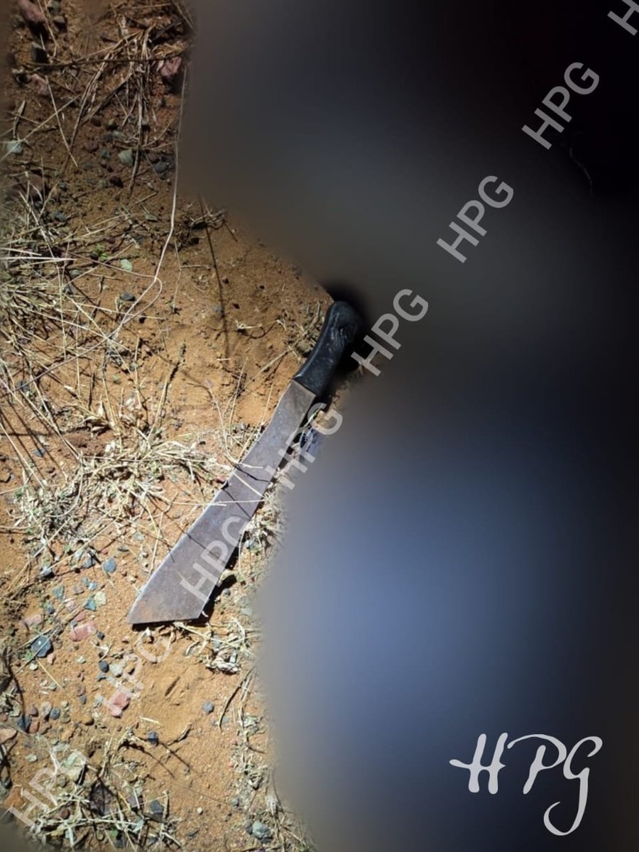 The_Calvinist tweet media